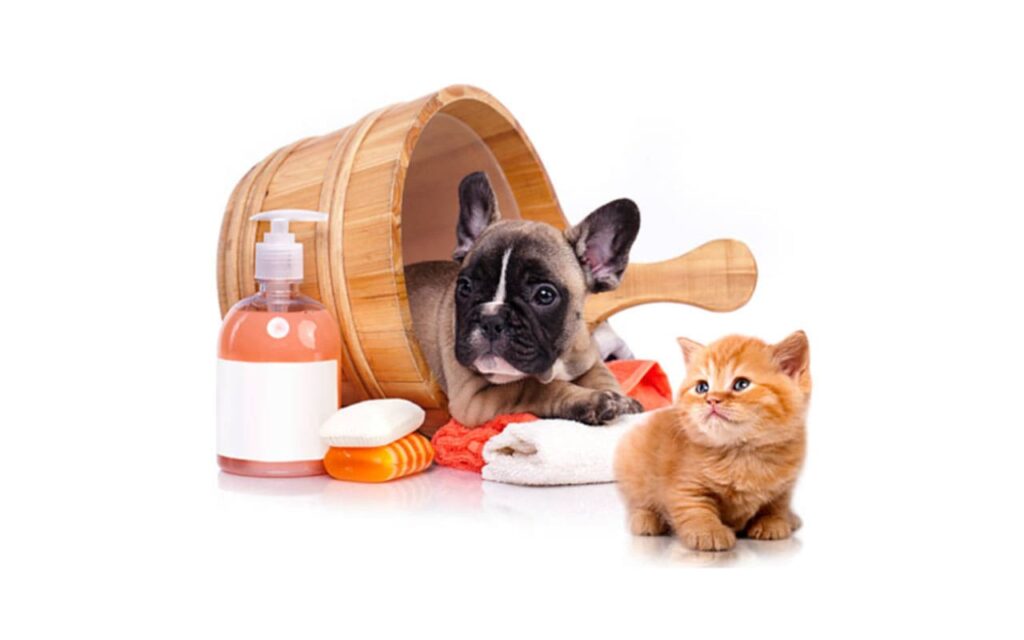 A imagem apresenta um cachorro e um gato com produtos de higiene para pets ao lado.